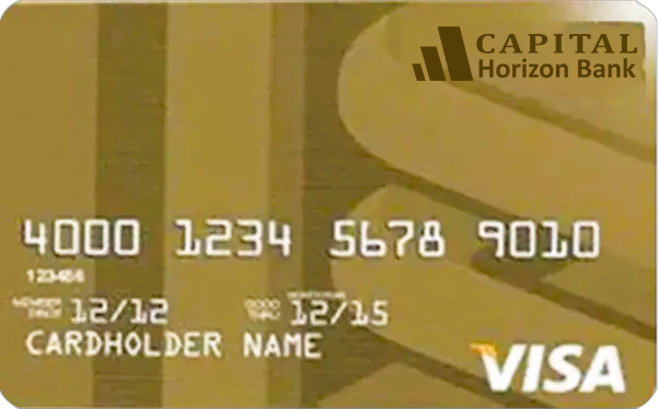 VISA GOLD DEBIT CARD